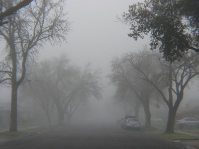 A Foggy Fresno Morning